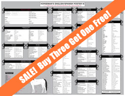 Horsewords, The Equine Dictionary (USA) - The Allen Equine Dictionary (United Kingdom)